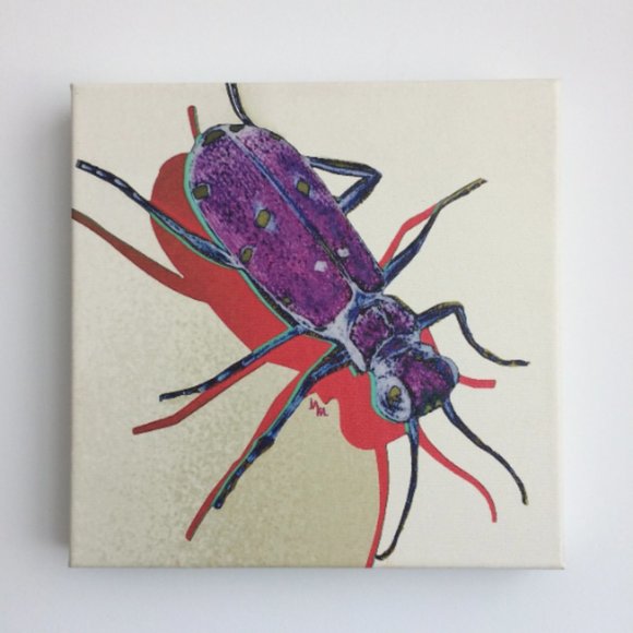 Tiger Beetle - Original Wall Art print on 12 x 12 canvas - Picture 2 of 6